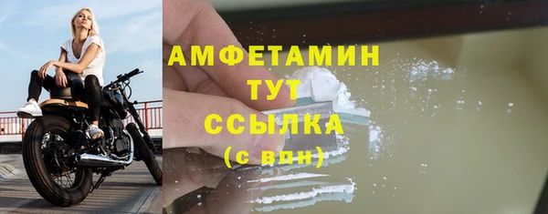 ГАЛЛЮЦИНОГЕННЫЕ ГРИБЫ Балабаново